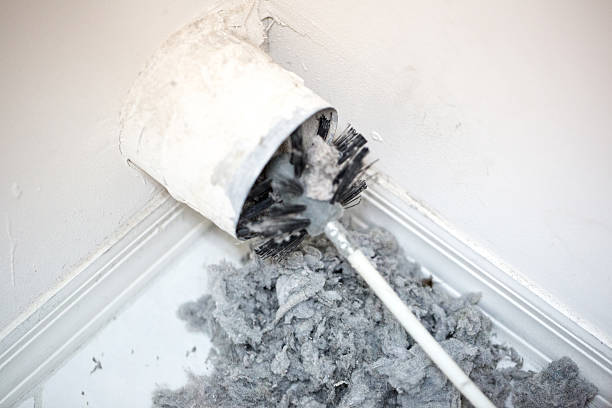 Best Affordable Duct Cleaning Services  in St Joseph, MN